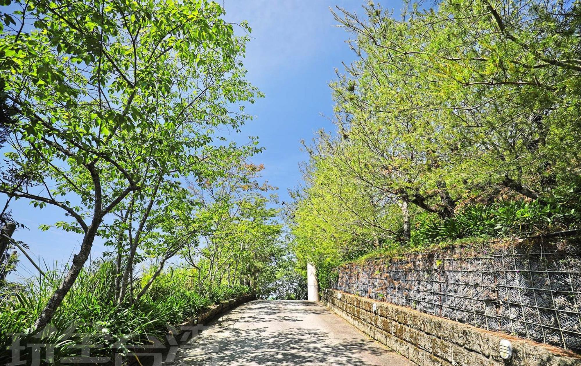 清境 百里莊園 Baili Manor Cing Jing Lejlighed Ren'ai Eksteriør billede