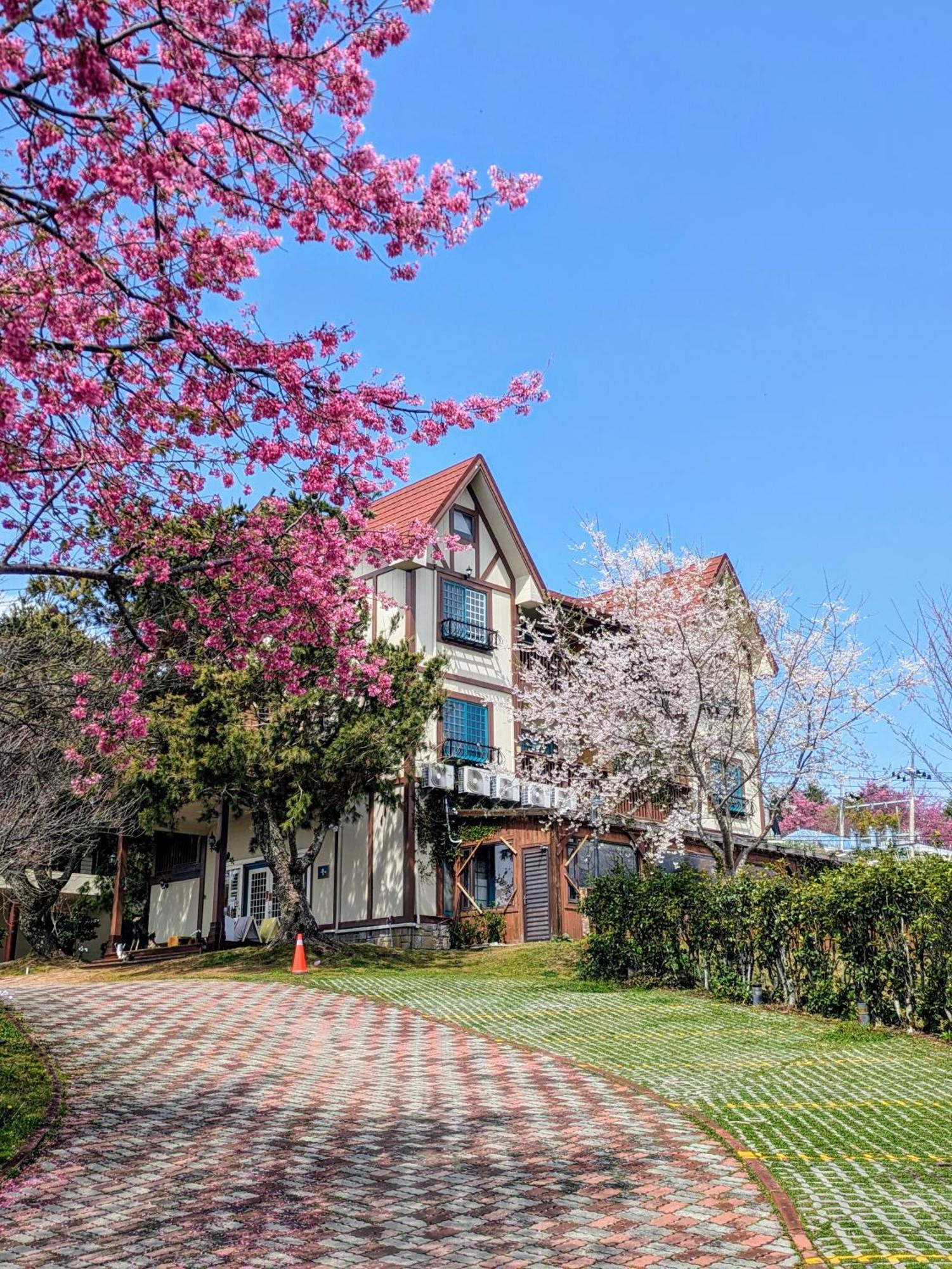 清境 百里莊園 Baili Manor Cing Jing Lejlighed Ren'ai Eksteriør billede
